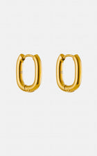 Chunky Oval Hoops